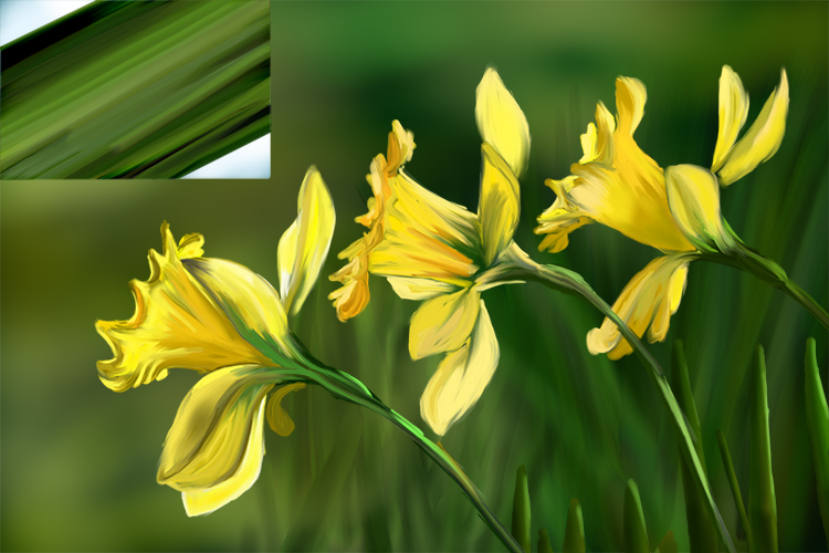 Image of daffodils that have long narrow stems and parallel veins are monocots for sure